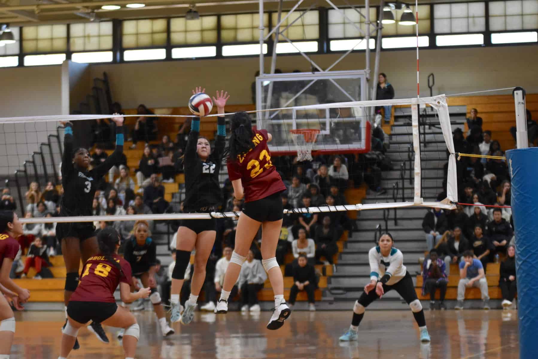Palumbo Volleyball’s journey falls just short of ultimate prize