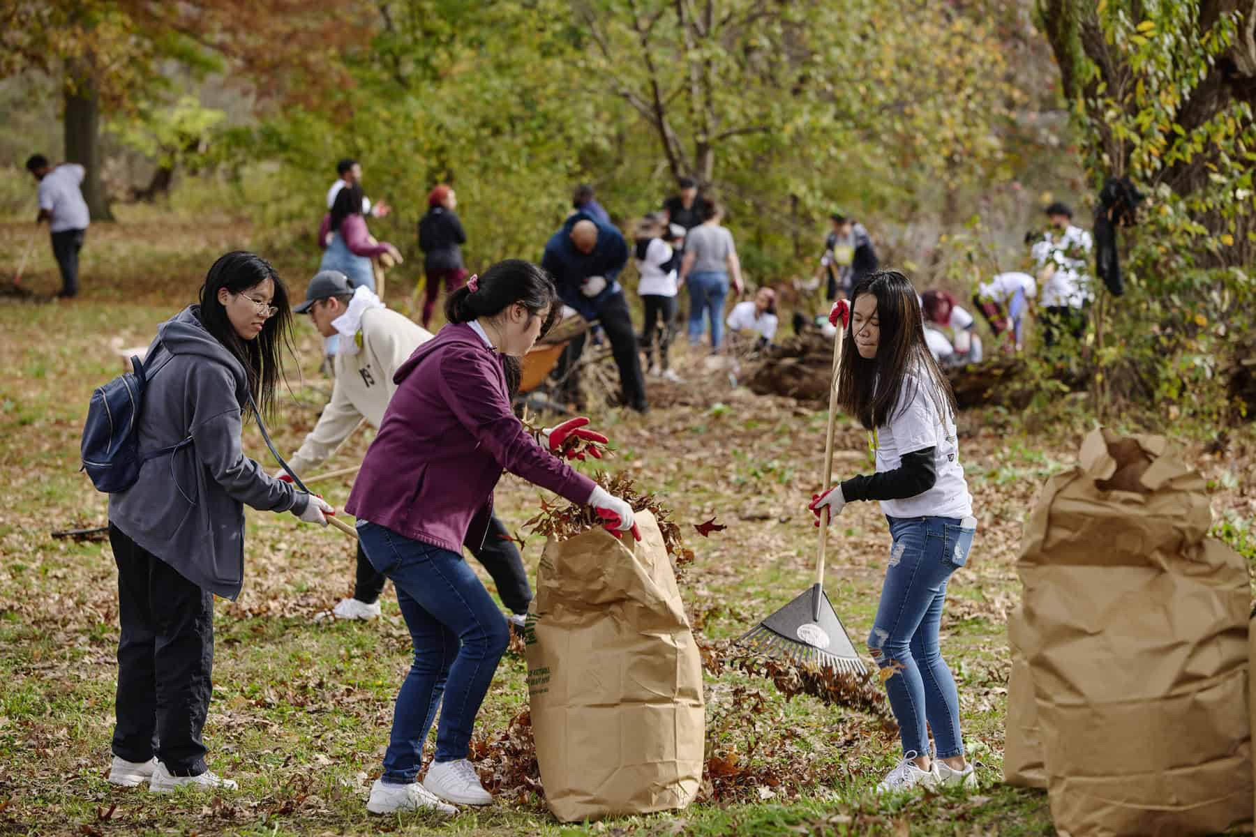 Park Cleanups take place this weekend