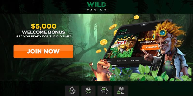 wild casino bonus