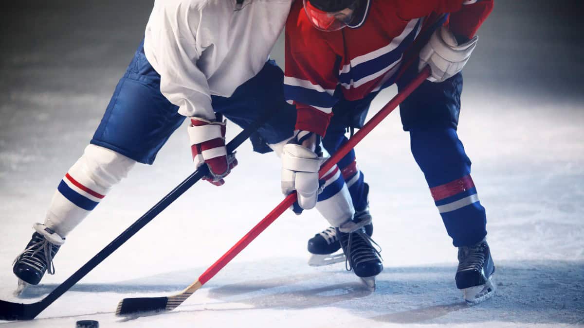 Quebec Sports Betting Sites 2024: Top QC Sportsbooks